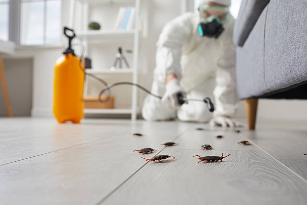 Commercial Kitchen Cockroach Control in Hammond